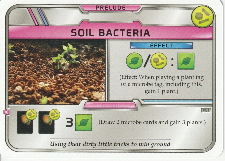 Soil Bacteria