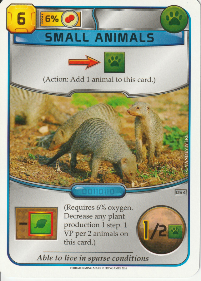 Small Animals