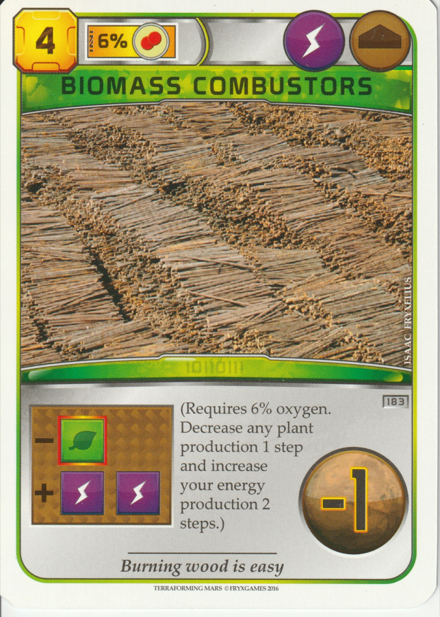 Biomass Combustors