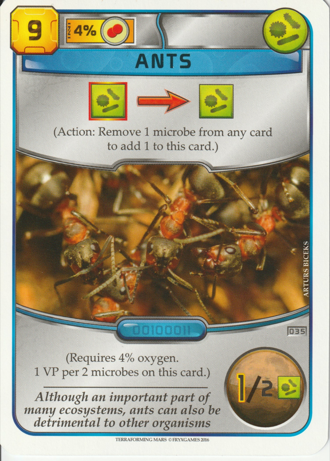 Ants